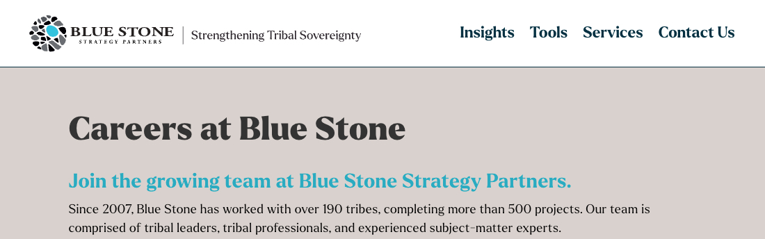Blue Stone Strategy Partners
